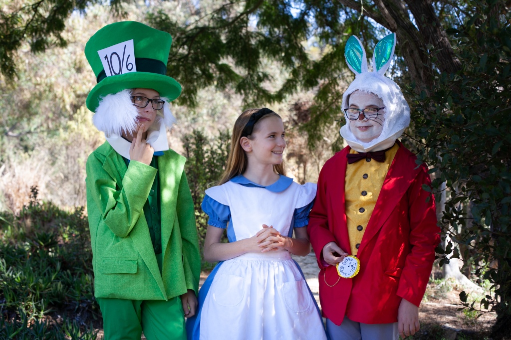 Alice in Wonderland halloween costumes. Mad Hatter, White Rabbit and Alice
